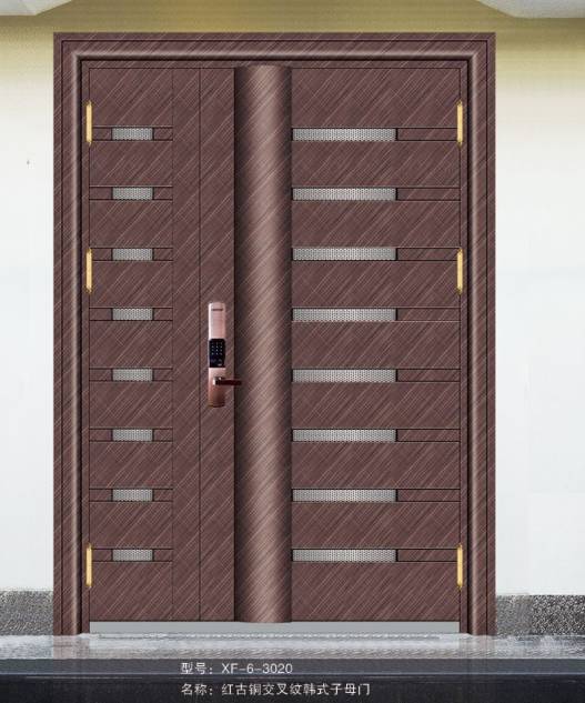 Stainless steel color steel door