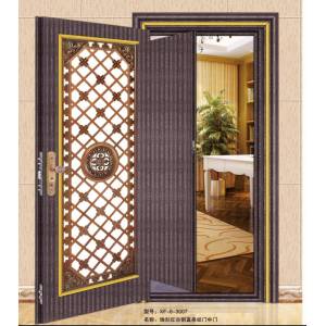 Stainless steel color steel door