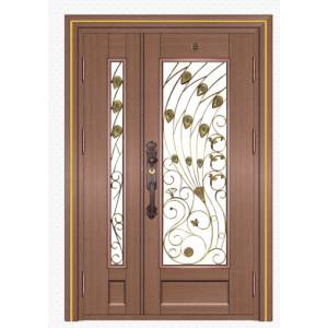Stainless steel color steel door