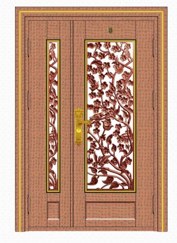 Stainless steel color steel door