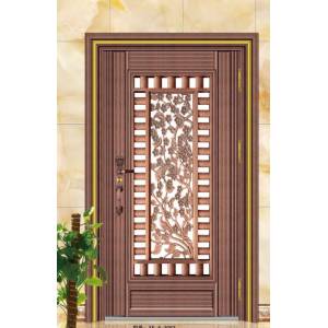 Stainless steel color steel door