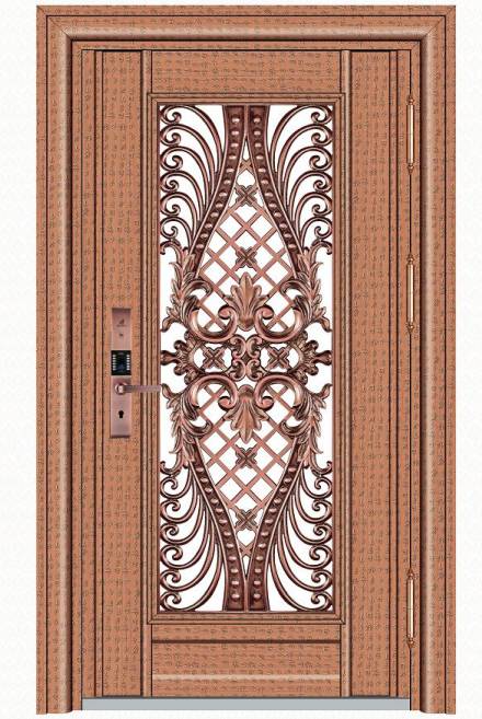 Stainless steel color steel door