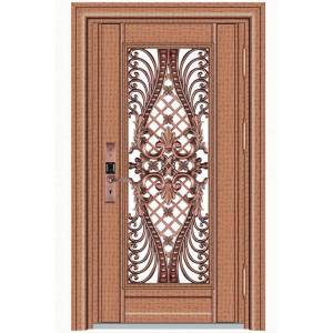 Stainless steel color steel door