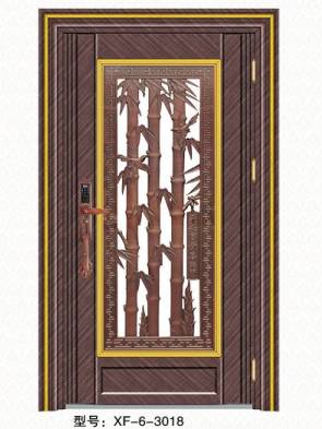 Stainless steel color steel door