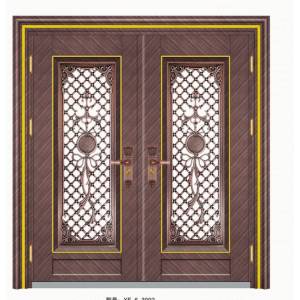 Stainless steel color steel door