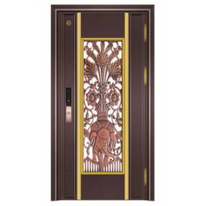 Stainless steel color steel door