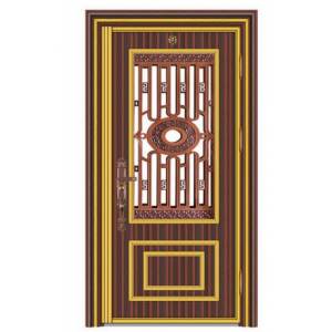 Stainless steel color steel door