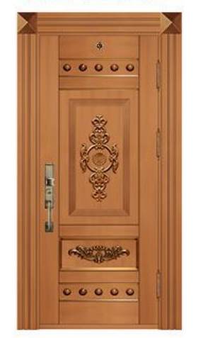 Steel copper door