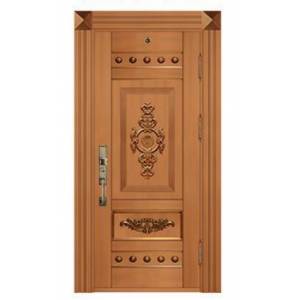 Steel copper door