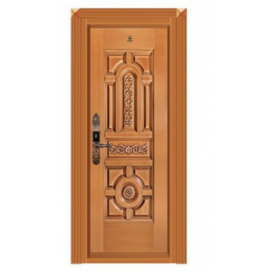 Steel copper door